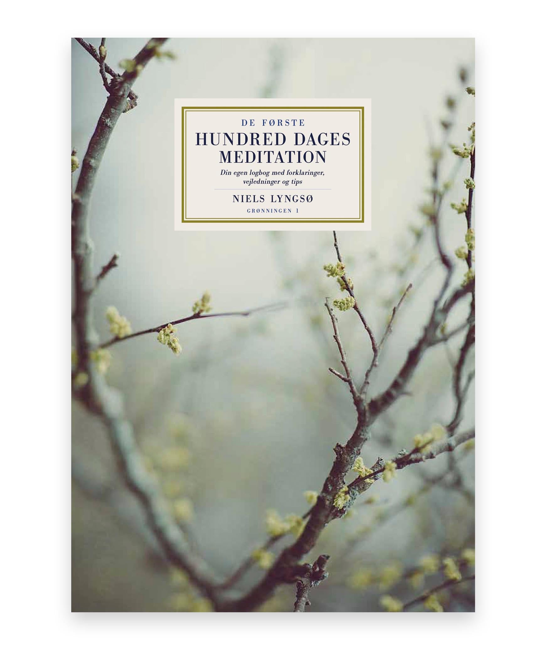 De første hundred dages meditation – Niels Lyngsø