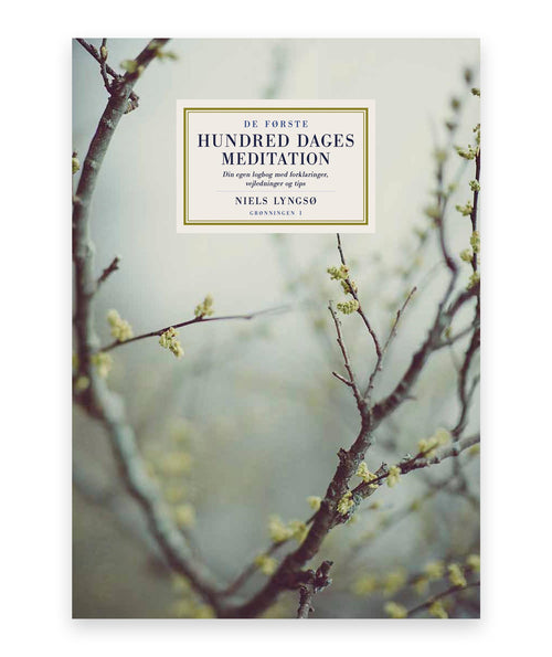 De første hundred dages meditation – Niels Lyngsø