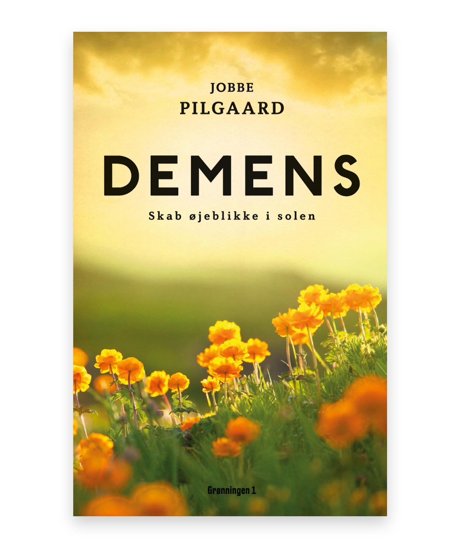 Demens – Jobbe Pilgaard