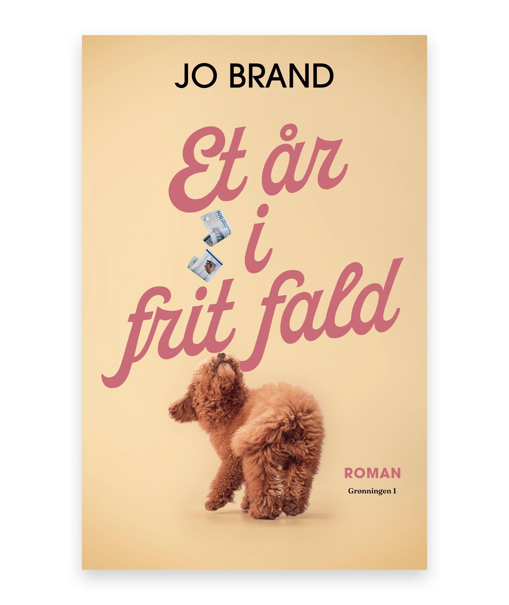 Et år i frit fald – Jo Brand