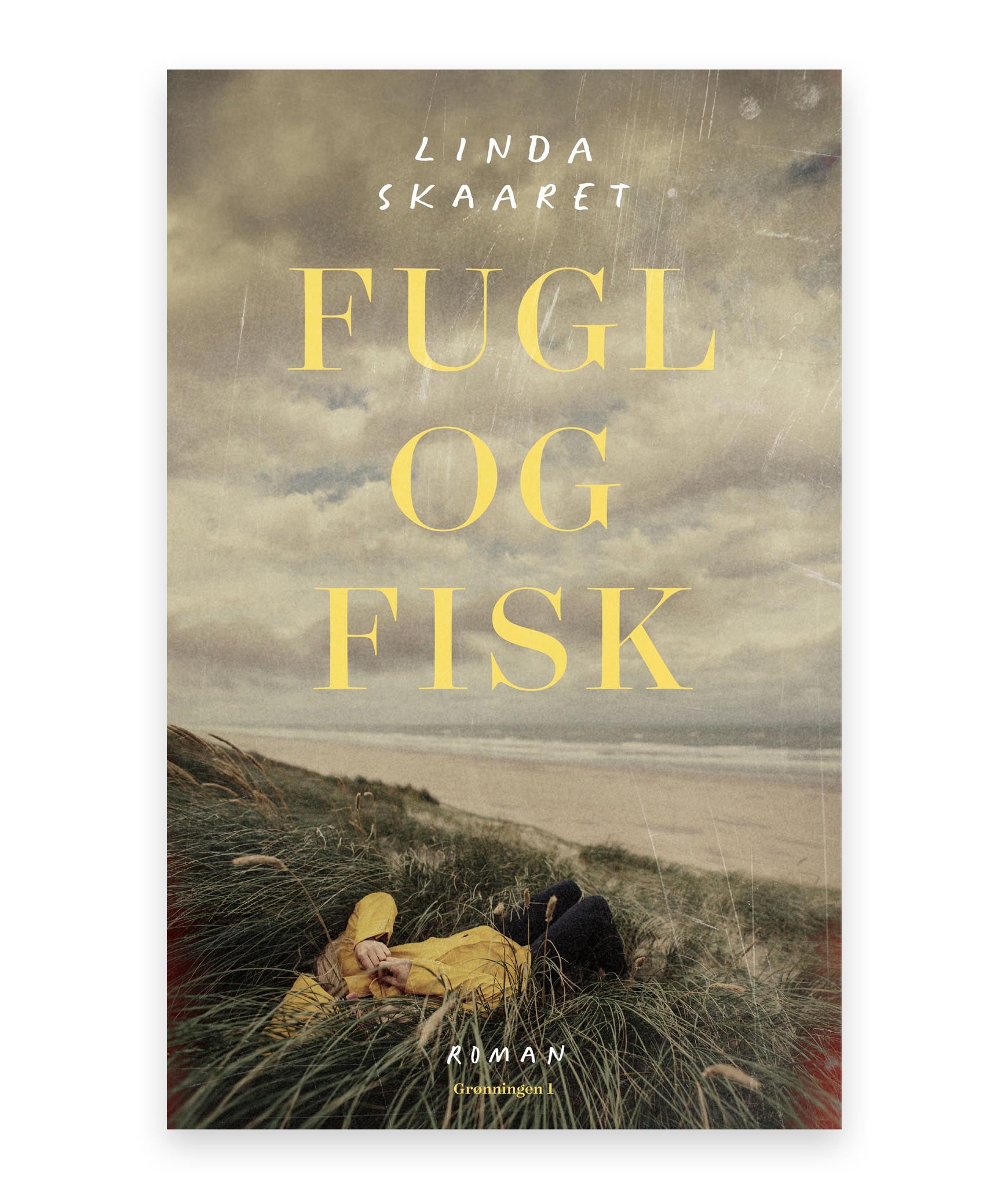 Fugl og fisk – Linda Skaaret