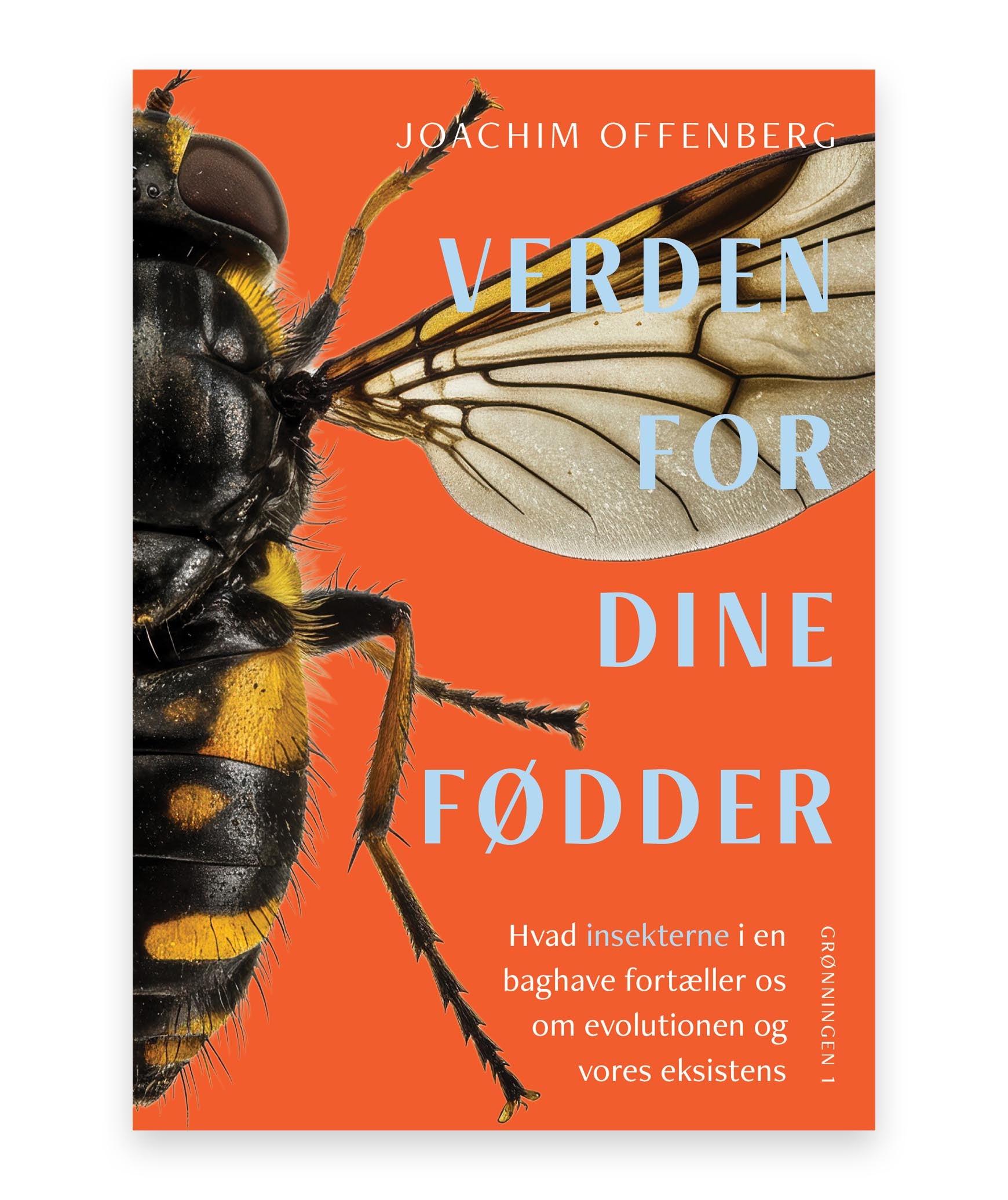 Verden for dine fødder – Joachim Offenberg